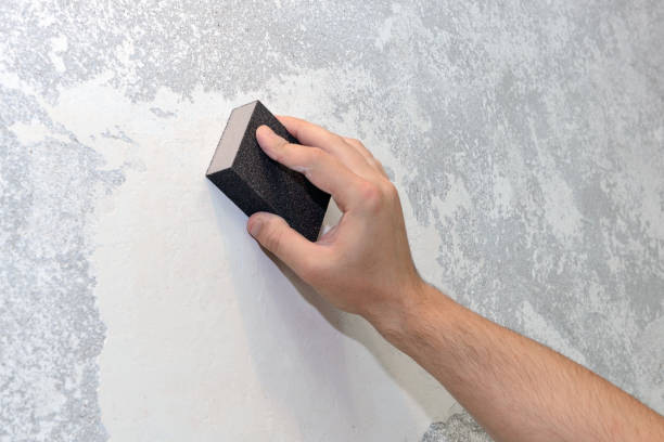 Best Water Damage & Mold Remediation  in Elsmere, KY