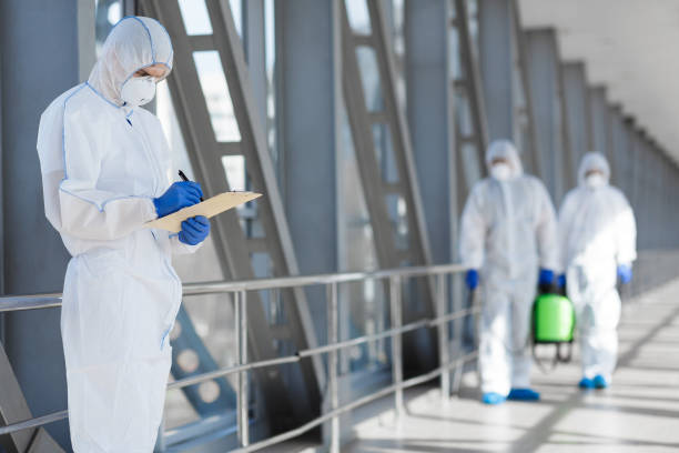 Best Mold-Related Health Consultation  in Elsmere, KY