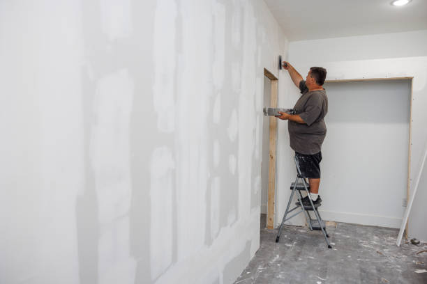 Best Commercial Mold Inspection  in Elsmere, KY