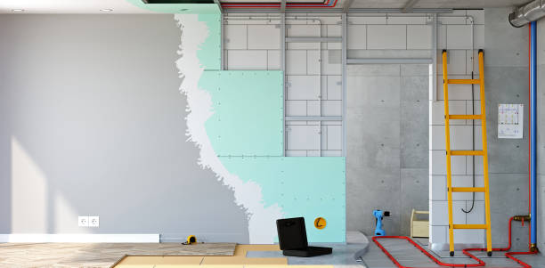 Best Basement Mold Removal  in Elsmere, KY
