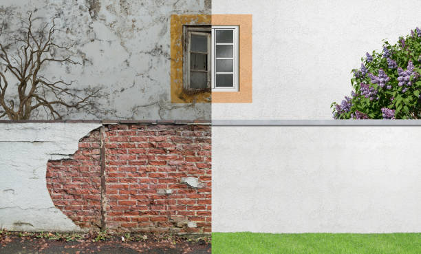 Best Emergency Mold Remediation  in Elsmere, KY