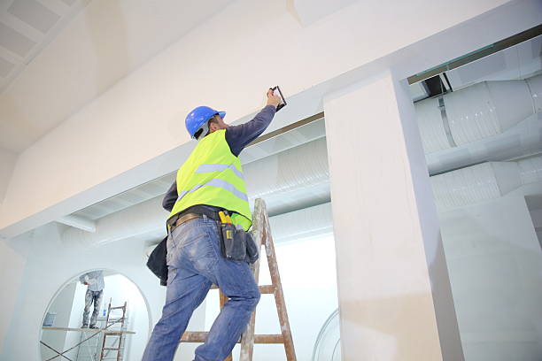 Best Mold Remediation for Healthcare Facilities  in Elsmere, KY