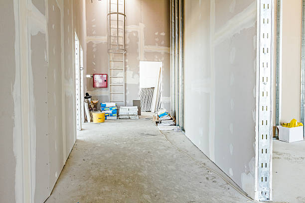 Best Asbestos and Lead Testing During Mold Inspection  in Elsmere, KY
